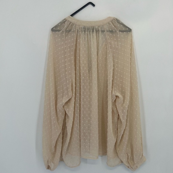 Zara Semi Sheer Swiss Dot Long Sleeve Button Down Blouse - Picture 8 of 8